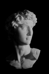 Michelangelo's David Sculpture Head