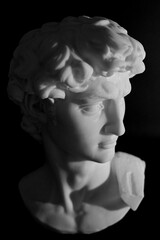 Michelangelo's David Sculpture Head