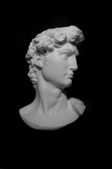 Michelangelo's David Sculpture Head