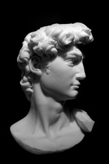 Michelangelo's David Sculpture Head