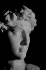Michelangelo's David Sculpture Head