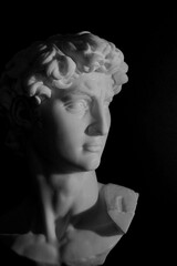 Michelangelo's David Sculpture Head