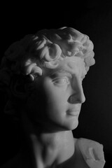 Michelangelo's David Sculpture Head