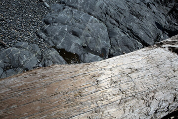 Wood on the beach - Victoria - British Columbia - Canada