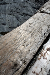 Wood on the beach - Victoria - British Columbia - Canada