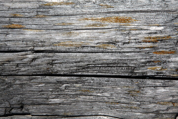 Wood on the beach - Victoria - British Columbia - Canada