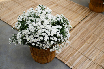 chrysanthemums - decorative wedding arrangement