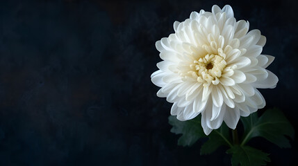 White Flower Funeral Background with Copy Space, Generative AI