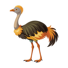 Ostrich isolated illustration on white background