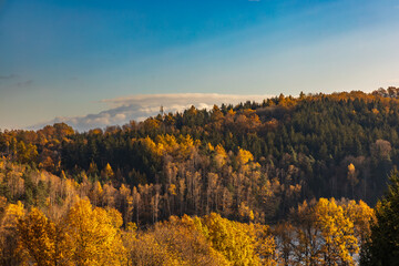 Beautiful mountain landscape full of golden and green trees at fall and with clear blue sky with few small clouds