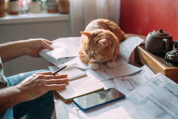 Close-up of men's hands with a calculator and utility bills.