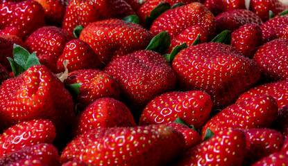 Strawberries group macro top view