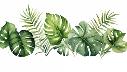 Foto op Plexiglas Monstera Watercolor banner tropical leaves isolated