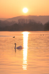 Morgenstimmung am See / Werratalsee bei Eschwege