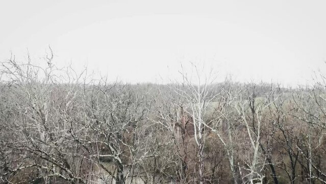 Descending over tree line around Hickman creek in Veterans park of Lexington, Kentucky