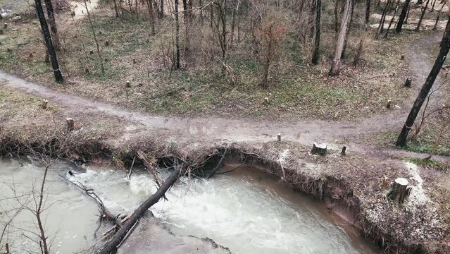Cut trees around West Hickman creek in Lexington, Kentucky
