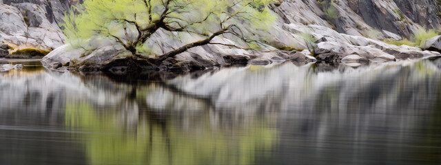 Obraz premium Nature photography of a tree and rocks reflected in a river with a painterly style and green, grey and brown colors.