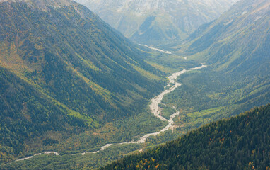 mountains and forest in picturesque valley. Place for trekking tourism - 754533563