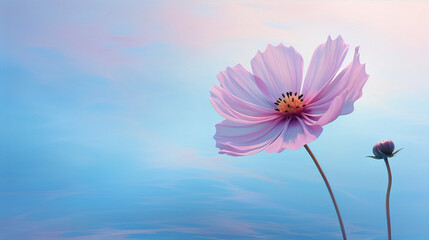 Pink cosmos flower in front of blue sky and water in soft pastel colors, 3D render.