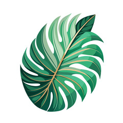 Fototapeta na wymiar green decor tropic exotic leaf