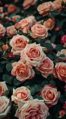 Dense and Dark Romantic Ambiance with Pink Roses Clustered Amidst Green Foliage, Ideal for Moody Artistic Backgrounds