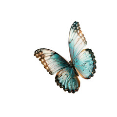 Fototapeta premium Colorful flying butterfly in transparent background