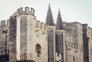 Palais des Papes - Palace of the Popes in Avignon city, France