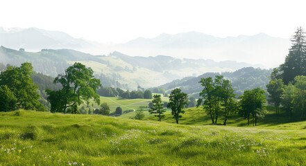 Tranquil green trees on a grassy hill in a serene natural landscape on transparent background - stock png.