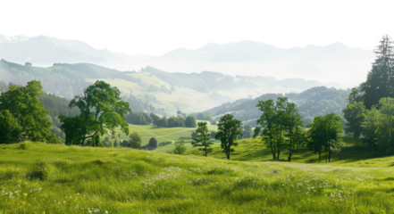 Tranquil green trees on a grassy hill in a serene natural landscape, cut out - stock png.