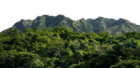 Dense green mountainous region with lush tropical forest and rugged terrain, cut out - stock png.
