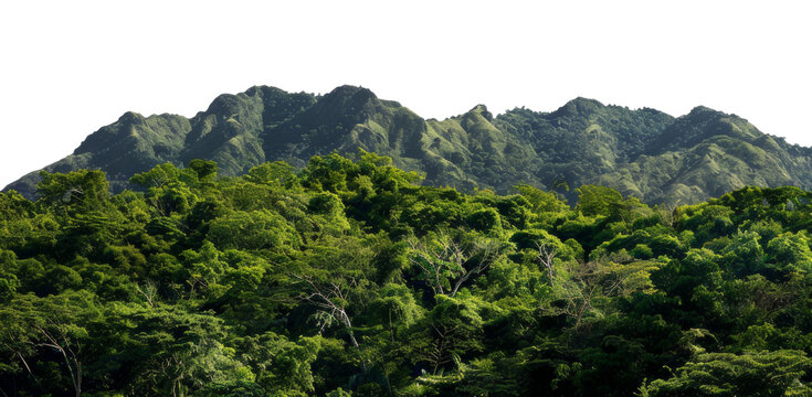 Dense green mountainous region with lush tropical forest and rugged terrain on transparent background - stock png.