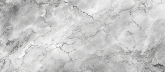 A detailed view showcasing the intricate patterns and smooth surface of white marble. The texture resembles limestone with grey veining,