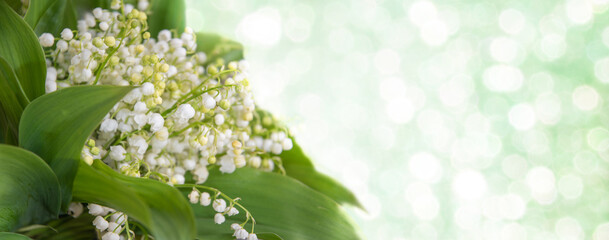 Lily of the valley,blooming spring flowers,bouquet with place for text on bokeh...