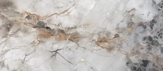 Close-up view of a high-resolution Italian limestone marble surface. The texture is intricate, showcasing the natural patterns and colors of the marble.