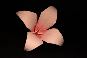 Pink flower origami isolated on black background