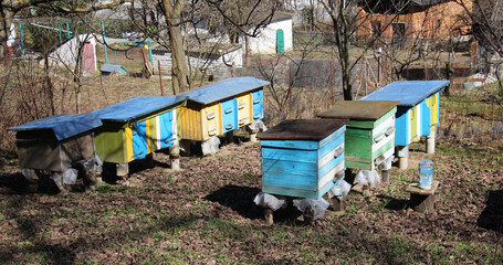 Amateur apiary in the village