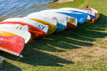 Sunbathing canoes lined up on the bank