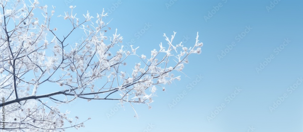 Wall mural Serene Tree with White Blossoms Stands Tall Amid Winter's Snowy Blanket