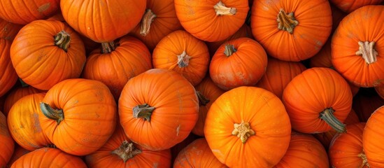 A bunch of orange pumpkins piled up together, showcasing a harvest. - Powered by Adobe