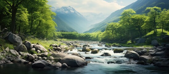 Tranquil River Meandering Through Vibrant Verdant Forest in Nature's Serenity