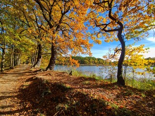 Autumn nature