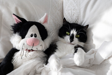 A black and white cat with a soft toy lies in bed on a white pillow under a blanket