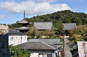 叡福寺　西方院からの遠景　大阪府南河内郡太子町