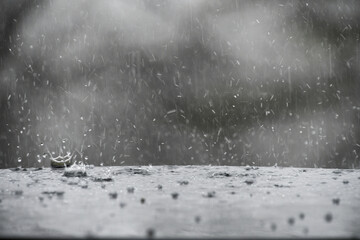 Hailstones aka hail splashing in rain water during a hailstorm - spring weather storm concept