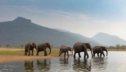 Muurstickers A group of elephant families go to the water's edge for a drink - African elephants standing near lake © blackdiamond67