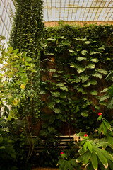 Greenhouse in the botanical garden.