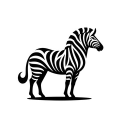 Fototapeta premium Zebra isolated vector illustration