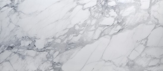A detailed view of a smooth white Carrara marble texture, showcasing the intricate natural patterns and veins unique to marble. The texture appears clean, elegant, and refined.
