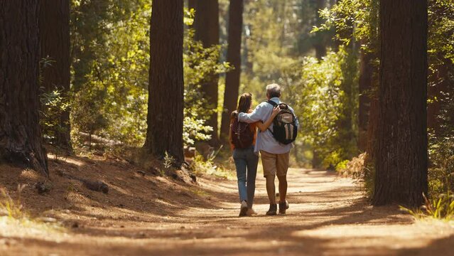 Rear view of loving retired senior couple wearing backpacks hugging as they hike along trail through summer countryside  - shot in slow motion