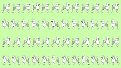green background with poodle dogs pattern